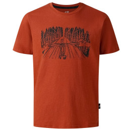 Dare 2b Trailbazer III Tee Arabian Spice gyerek póló barna ArabianSpice