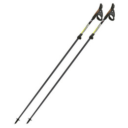 Fizan Tekno nordic walking túrabot