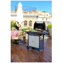 Campingaz 2 Series Classic EXS INT grill