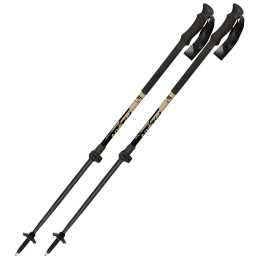 Fizan Aria síalpin túrabot