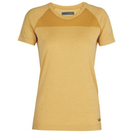 Icebreaker W Motion Seamless SS Crewe női póló