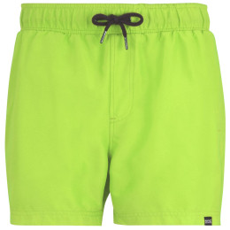 Regatta Mawson Swim Shorts III férfi fürdőnadrág