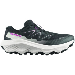 Salomon Ultra Flow 2 Gore-Tex női futócipő