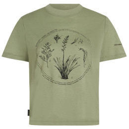 Icebreaker Merino 150 Tech Lite SS Crop Tee Seed Story női póló