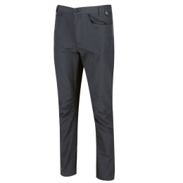 Férfi nadrág Regatta Delgado Trousers szürke