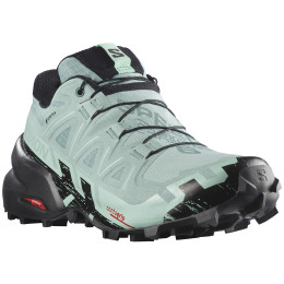 Salomon Speedcross 6 Gore-Tex női futócipő fekete/kék