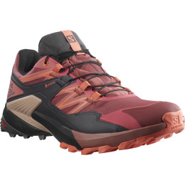 Salomon Wings Sky Gore-Tex női cipő