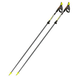 Fizan Carbon Pro 2-pcs nordic walking túrabot