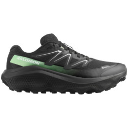 Salomon Ultra Flow 2 Gore-Tex férficipő