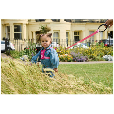 LittleLife Toddler Reins Butterfly biztonsági gyerekpóráz