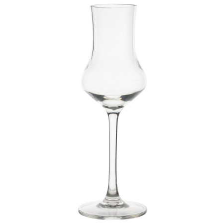 Gimex ROY Grappa glass 2pcs pohár