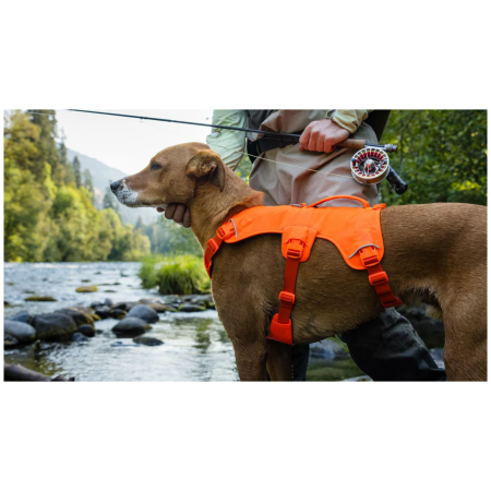 Ruffwear Web Master™ Harness kutyahám