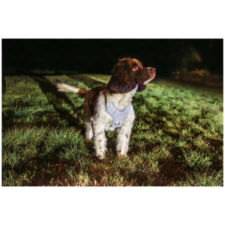 Mountain Paws Reflective Dog Harness kutyahám