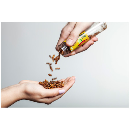 Sens Csípős ropogós & pirított tücskök – Chipotle sušení cvrčci