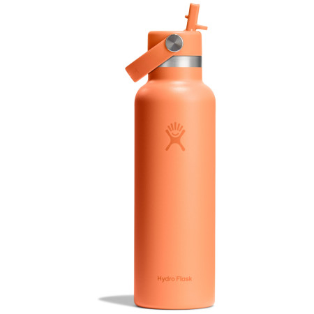 Hydro Flask Standard Flex Straw Cap 21 oz termosz