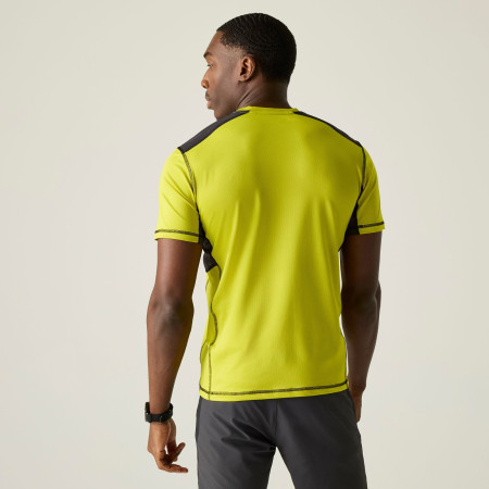 Regatta Virda férfi póló