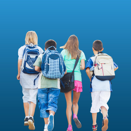 Vissza az iskolapadba