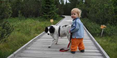 8 tipp, hogy a túrázás szórakoztatóbb legyen a gyerekeknek