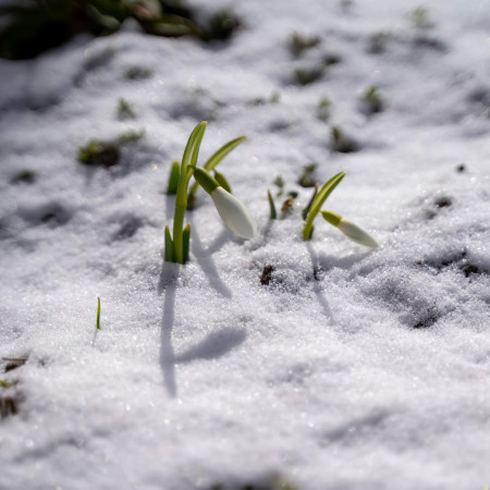 Frissítő újdonságok - válogatás a ‘23-as év új felszereléseiből