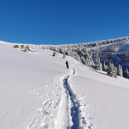 Síalpinizmus és biztonság a hegyekben
