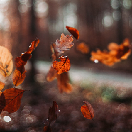 Őszi árhullás - akciós ruhák akár 80%-os kedvezménnyel