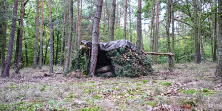 Hogyan éjszakázzunk legálisan a természetben?