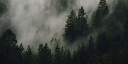 Essen az eső, fújjon a szél