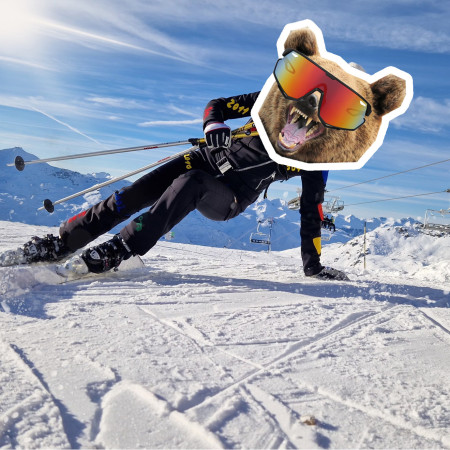 Ne légy medve, irány a sípálya! Ugye, nem töltöd a telet az odúban?