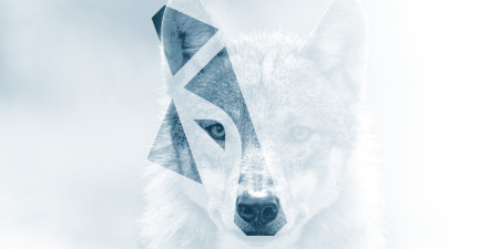 WARG napok - a farkas arcú