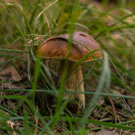 Őszi kirándulások az erdőbe és a hegyekbe – szerelkezz fel –10%-kal olcsóbban