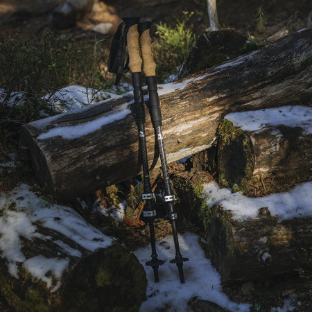 Hogyan válasszunk túrabotot?