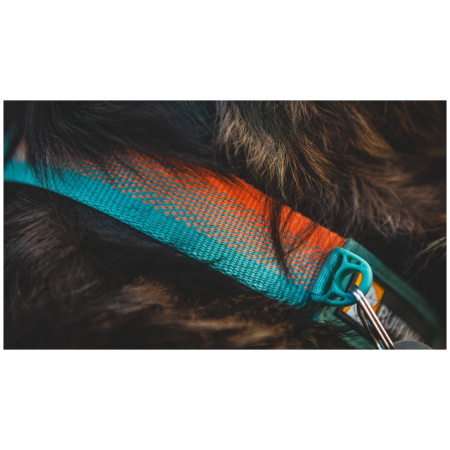Ruffwear Front Range™ Collar kutyanyakörv