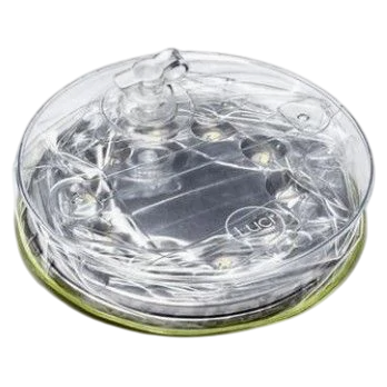 Mpowerd Luci Outdoor led lámpa