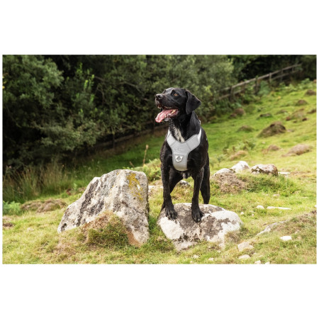 Mountain Paws Reflective Dog Harness kutyahám