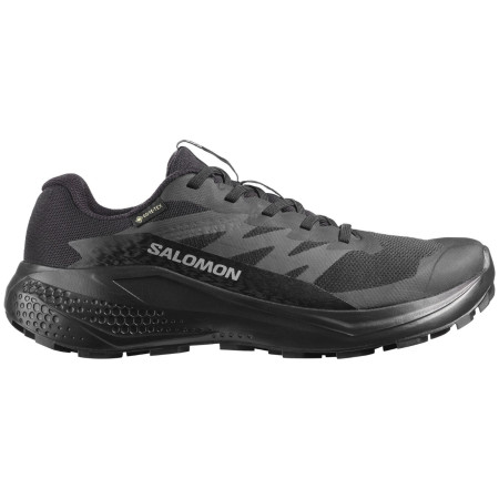 Salomon Alphaglide Gore-Tex női cipő