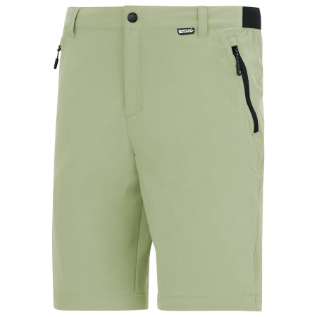Regatta Anti-Insect Travel Light Z/O Trousers férfi nadrág