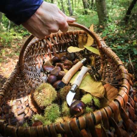 Opinel N°07 Inox zsebkés