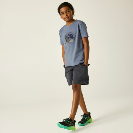 Dare 2b Trailbazer III Tee Mercury gyerek póló