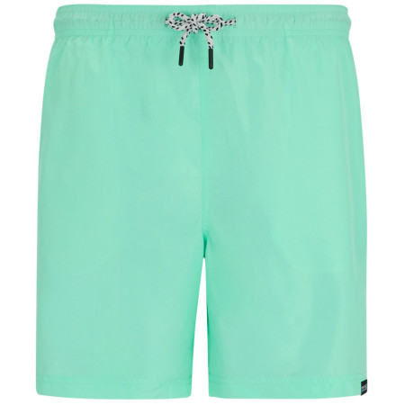 Regatta Mackleyna Swim Short férfi rövidnadrág