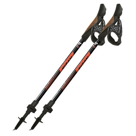 Fizan R-Evolution Pro nordic walking túrabot