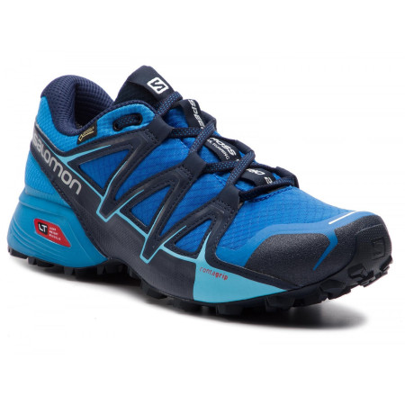 Férfi cipő Salomon Speedcross Vario 2 GTX kék