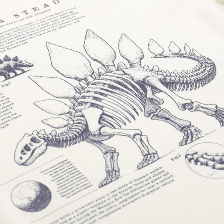 Alpine Pro Ecco 2 gyerek póló