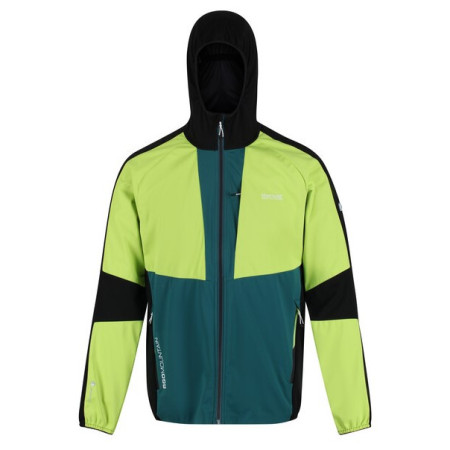 Férfi kabát Regatta Tarvos V zöld/fekete