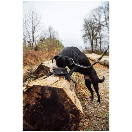 Mountain Paws Collapsible Dog Food Bowl kutyatál