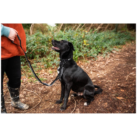 Mountain Paws Stretch Dog Lead ütközéscsillapítós póráz