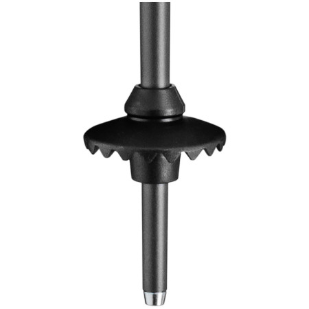 Leki Neolite síbotok