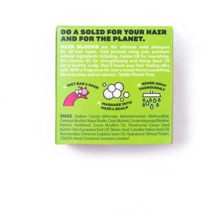 Shower Blocks Solid Shampoo - Mint & Grapefruit sampon