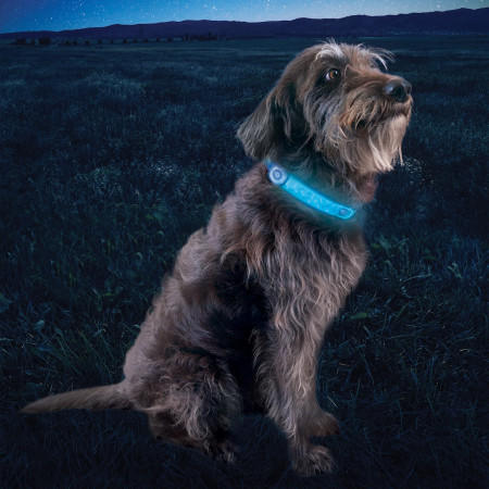 Nite Ize NiteDog® Rechargeable LED Collar Cover világító kutyanyakörv