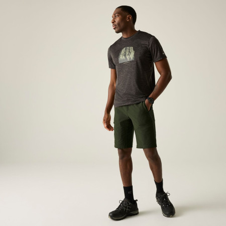 Regatta Highton Shorts Long II férfi rövidnadrág