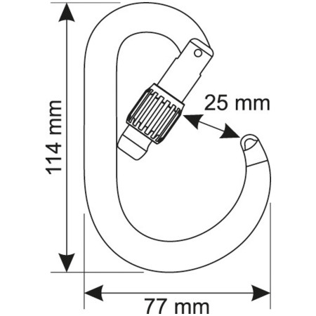 Camp Core Lock karabiner